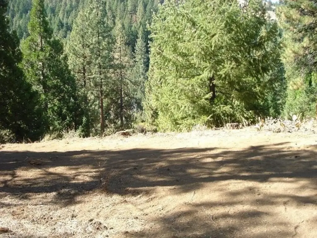 Picture 8