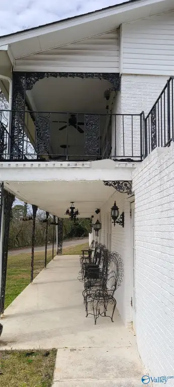 Picture 8