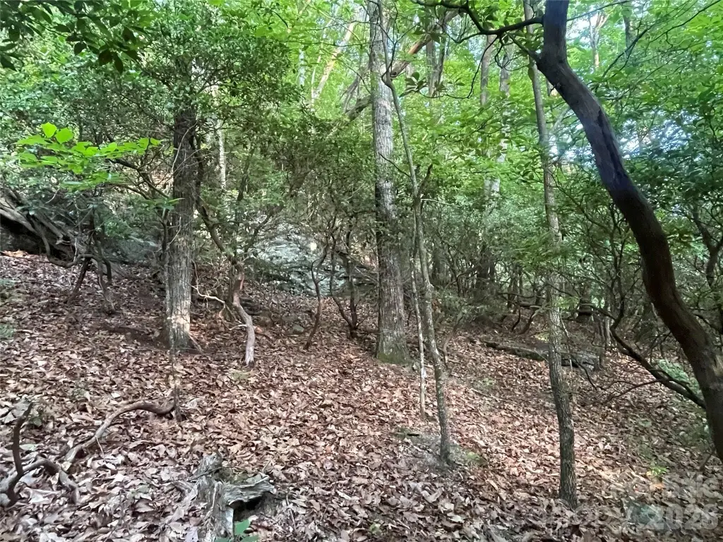 Picture 13