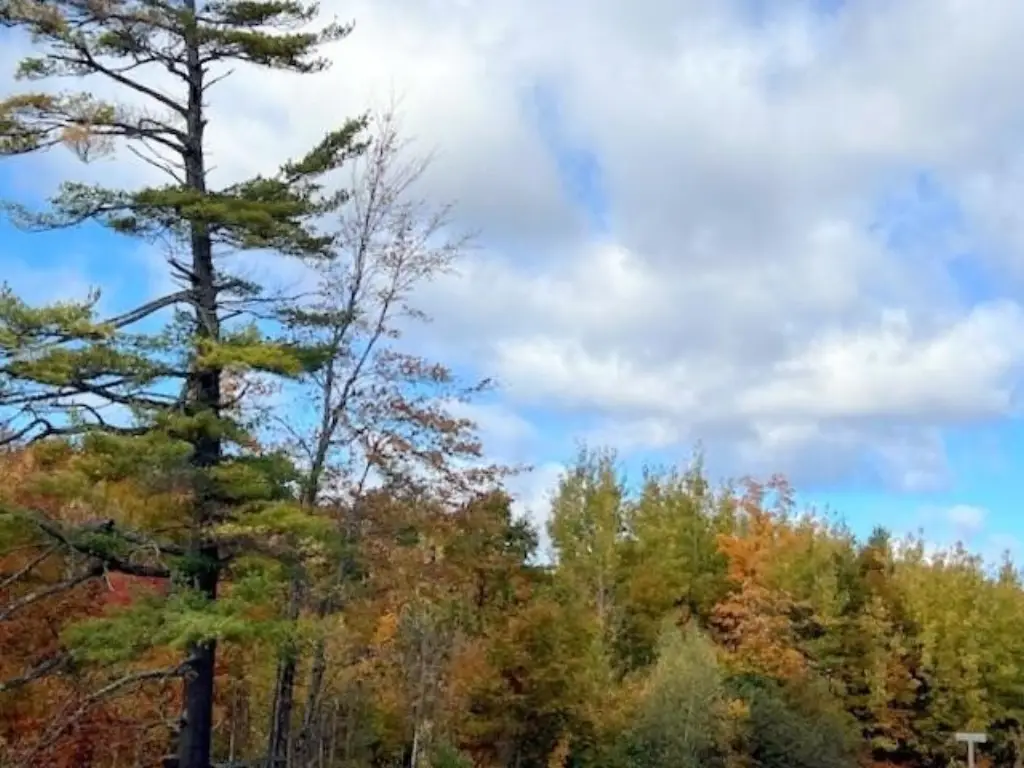 Picture 4