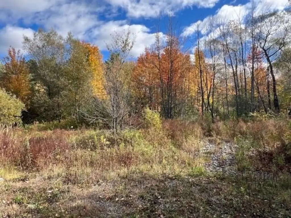 Picture 8