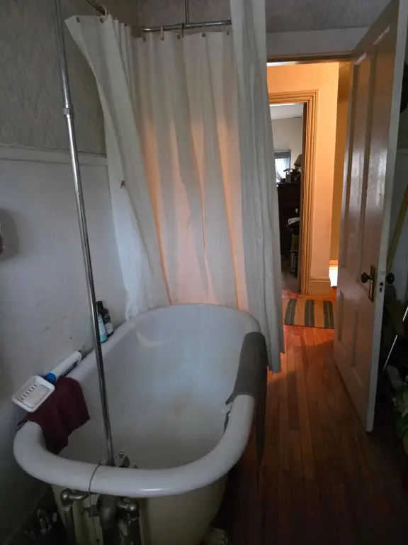 Picture 15