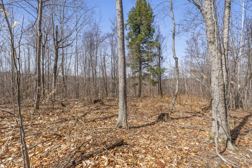 Picture 42