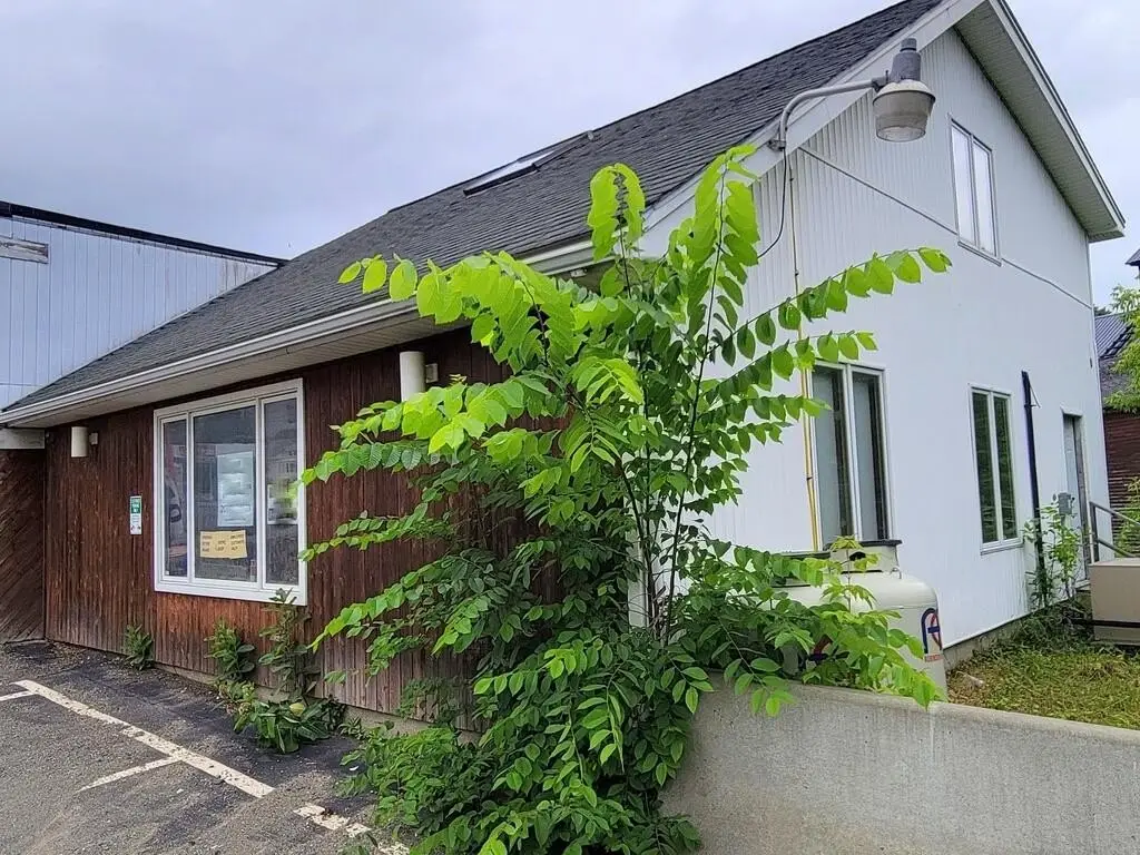 Picture 26