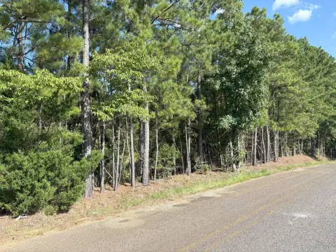 Unrestricted Land in Calhoun, Louisiana