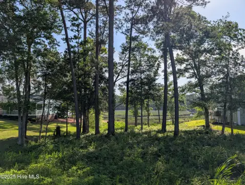 Residential Land Parcel in Shallotte