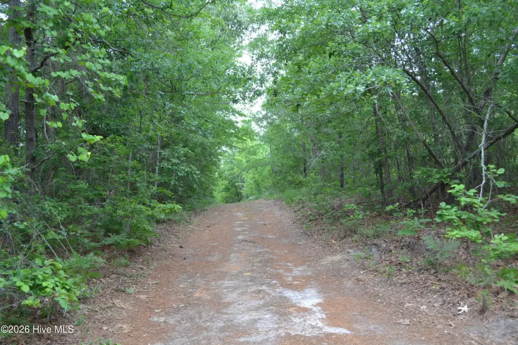 Picture 2