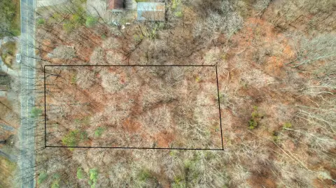 Wooded Lot Near Allegan Lake