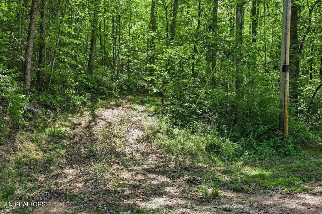 Picture 19
