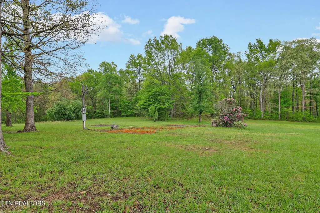 Picture 7