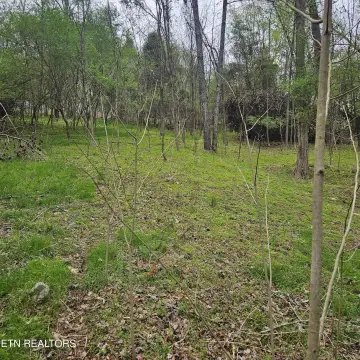 Lakefront Residential Lot