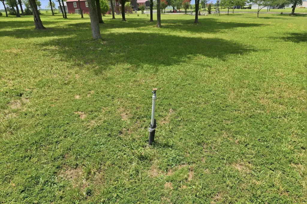 Picture 19