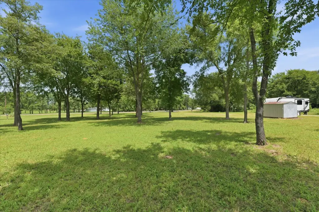 Picture 9