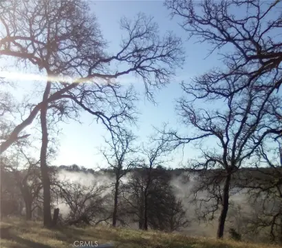 Small Farm in Northern California