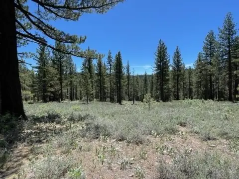 Hunting Land with Timber