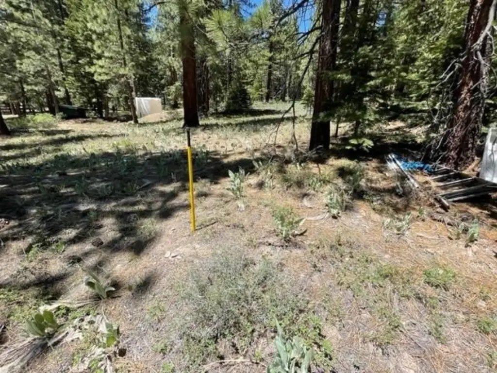 Picture 4