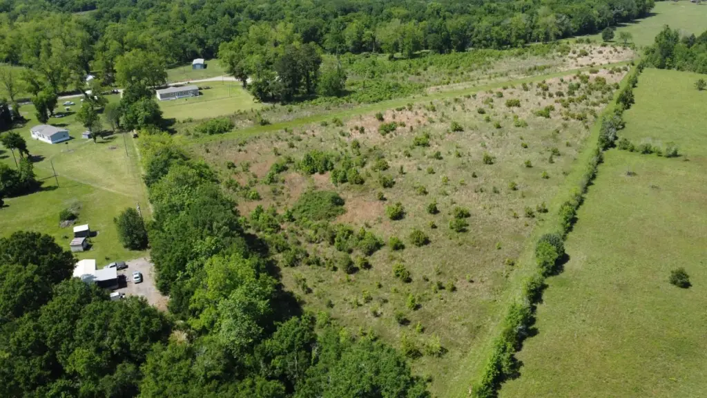 Picture 16