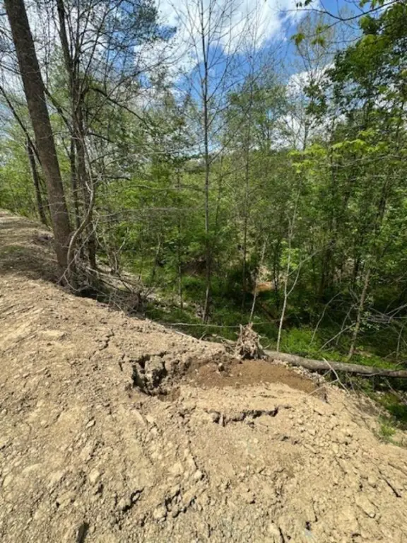 Picture 18
