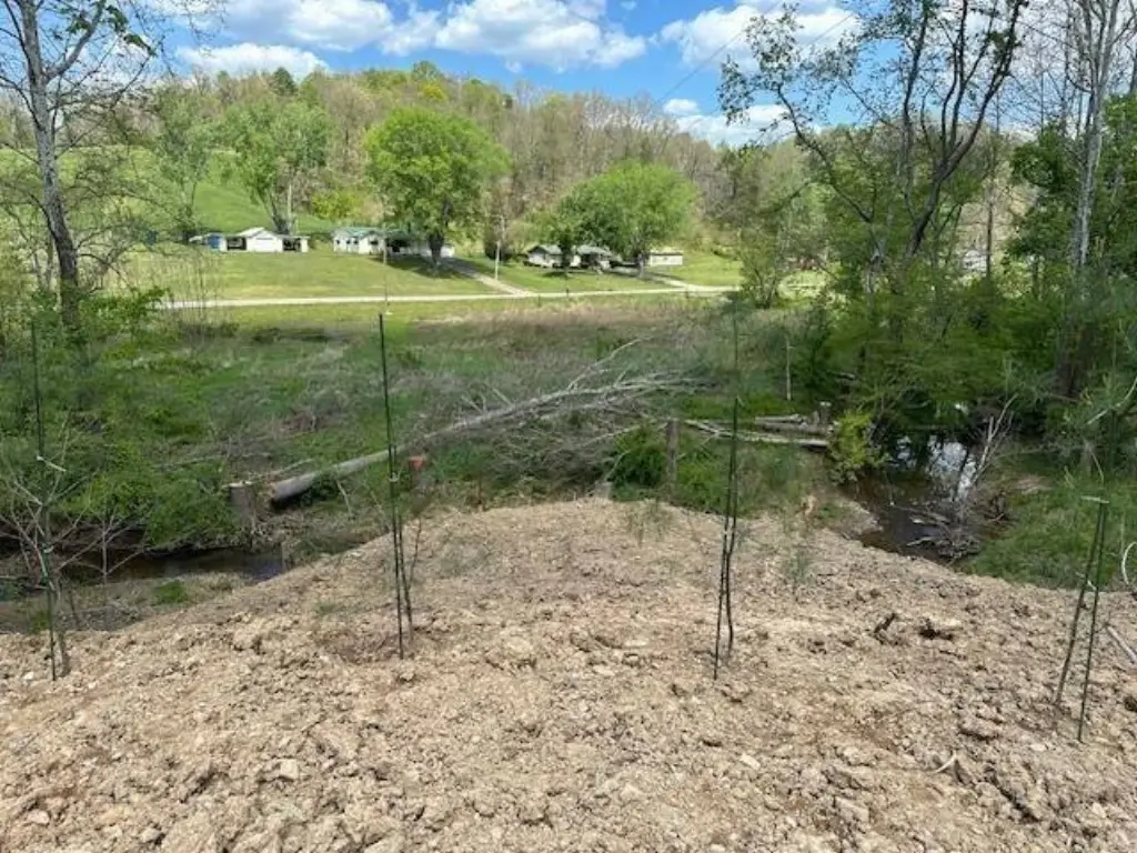 Picture 6