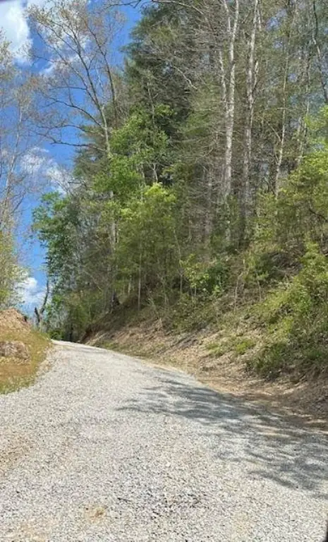 Picture 4