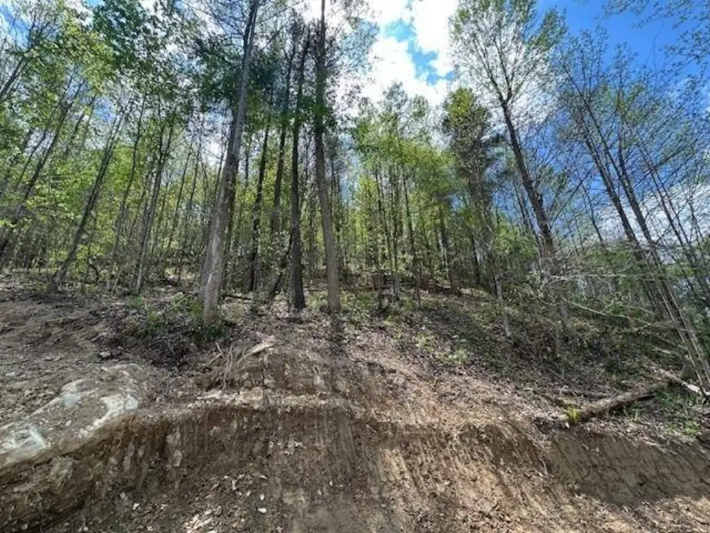 Picture 5