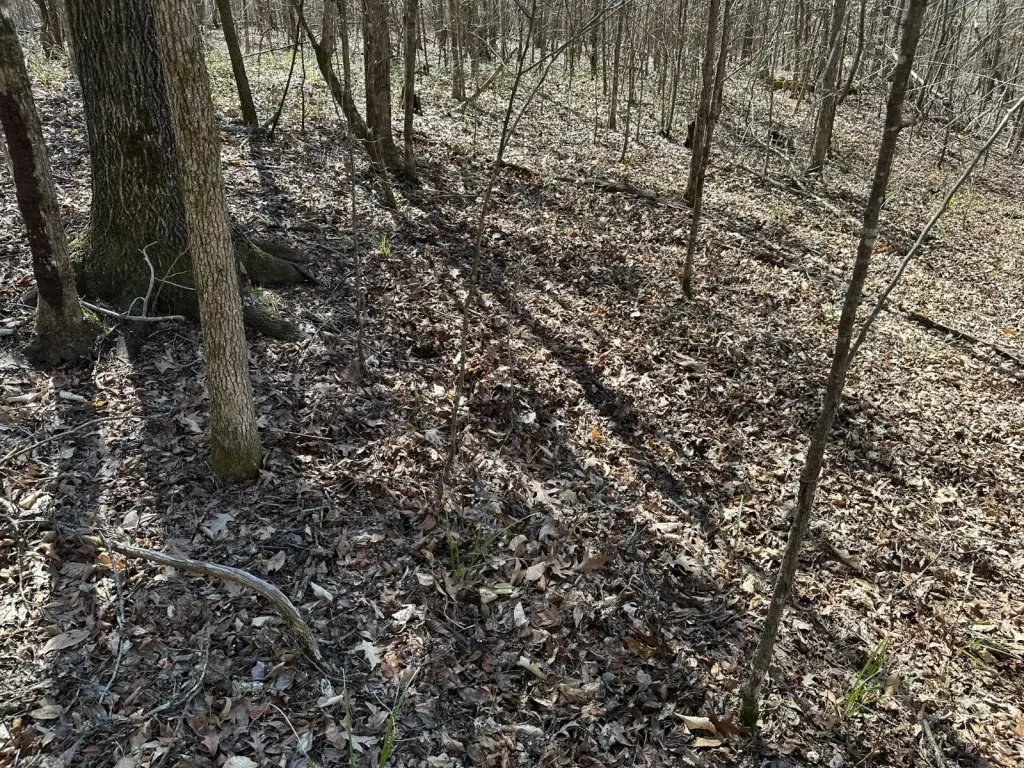Picture 17