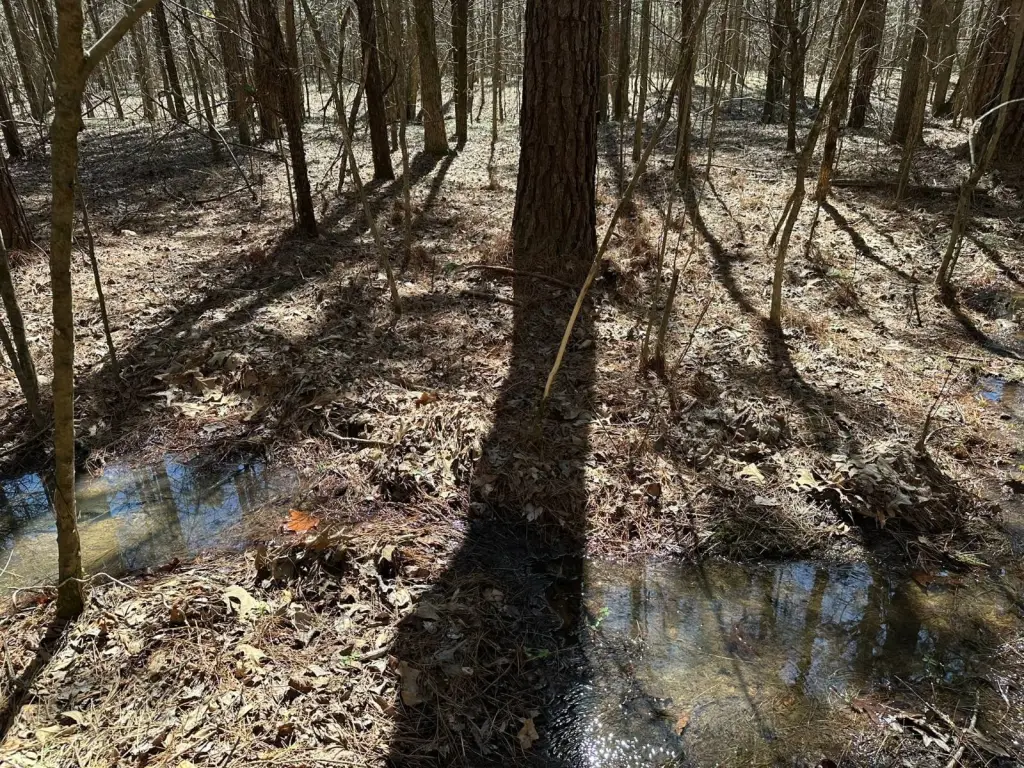 Picture 31