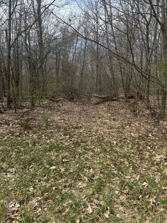 Picture 5