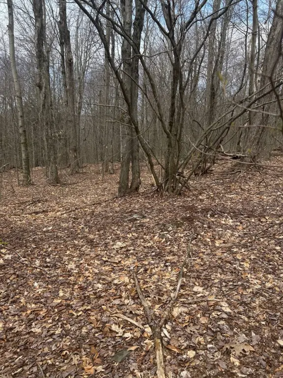 Picture 10