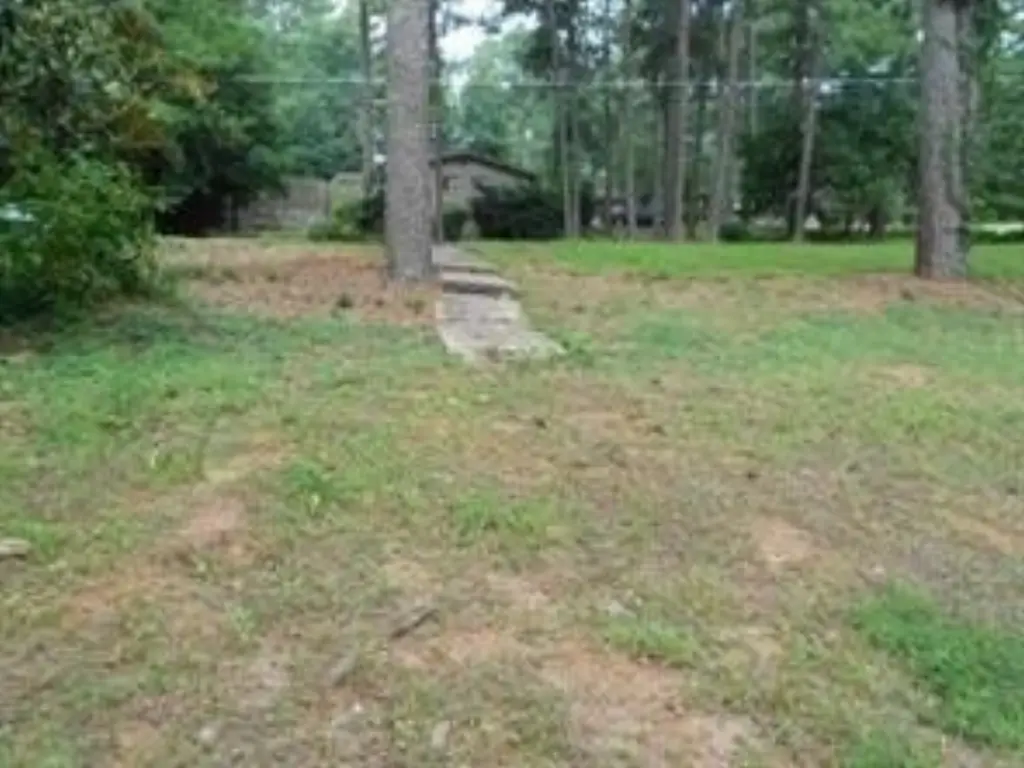 Picture 8