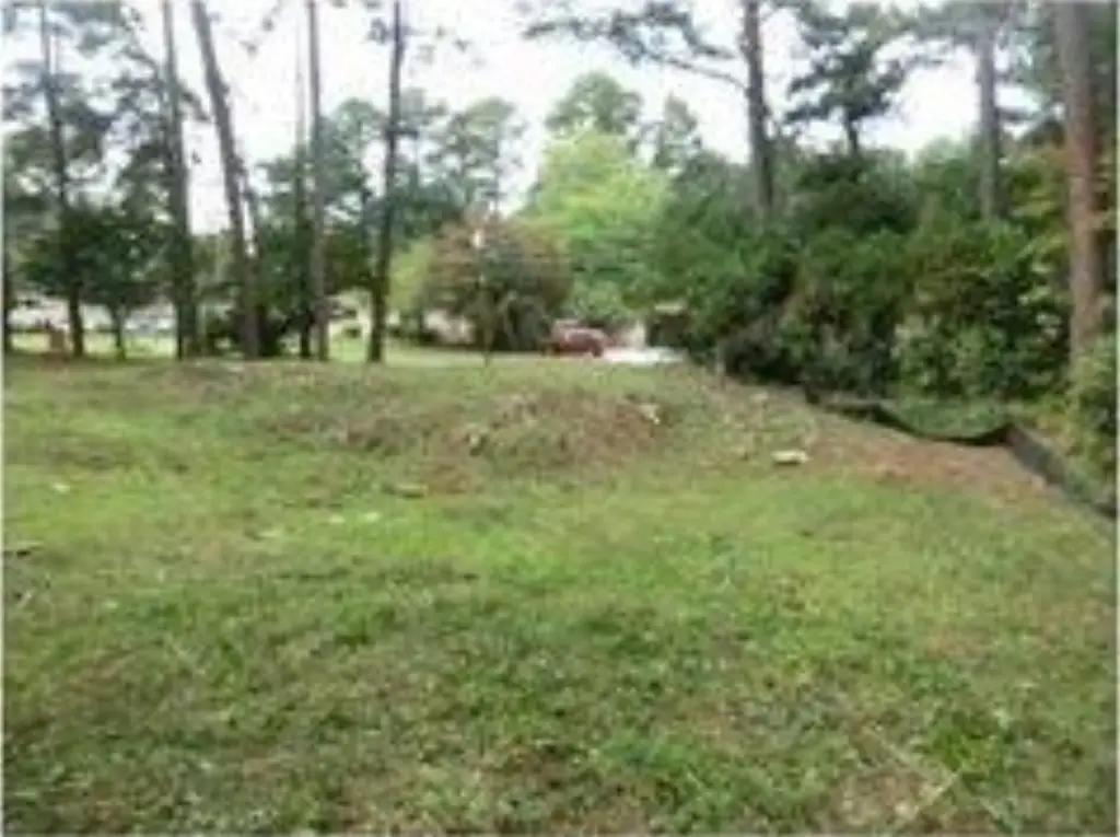 Picture 11