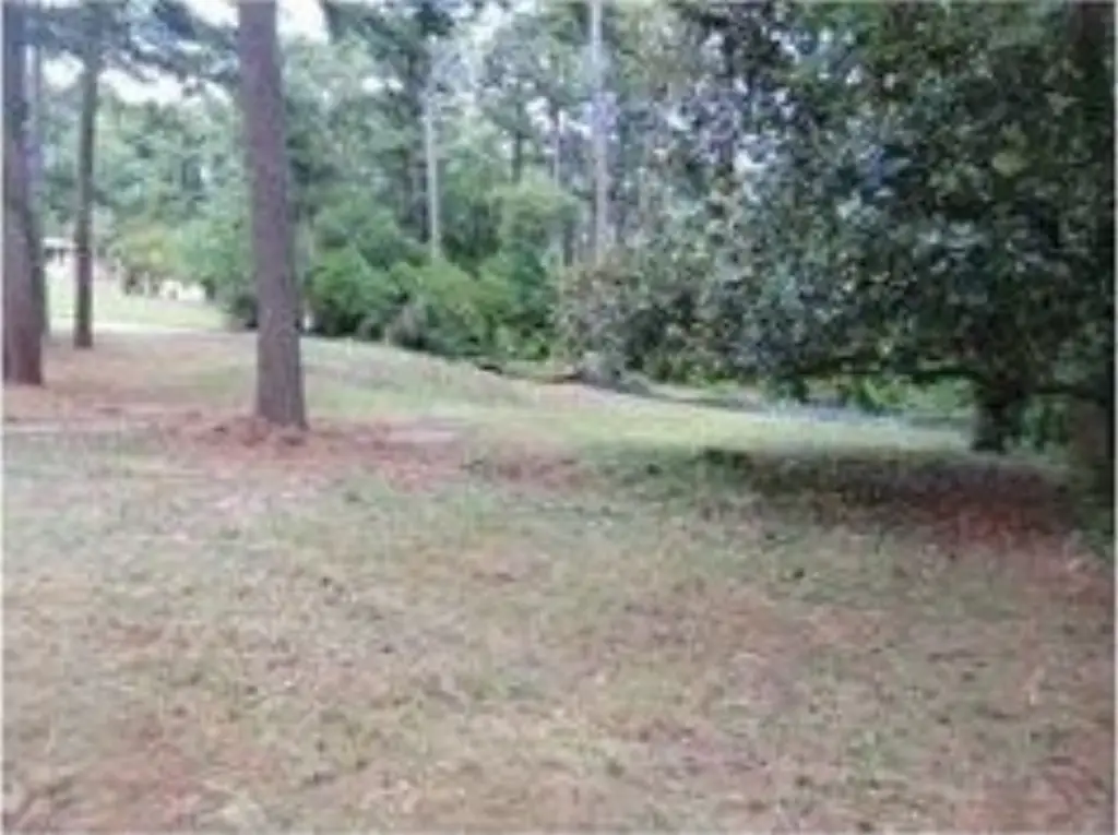 Picture 12