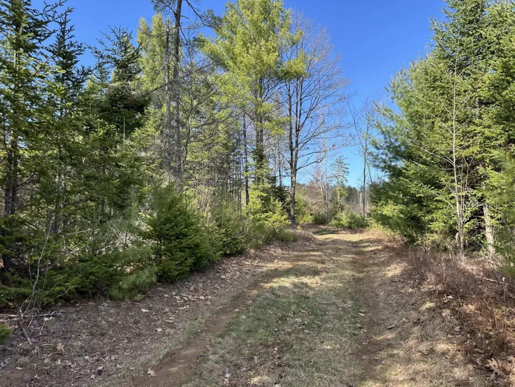 Picture 21