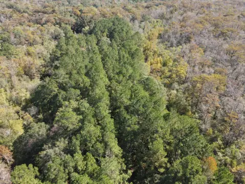 30 Acre Waterfront Recreational Tract