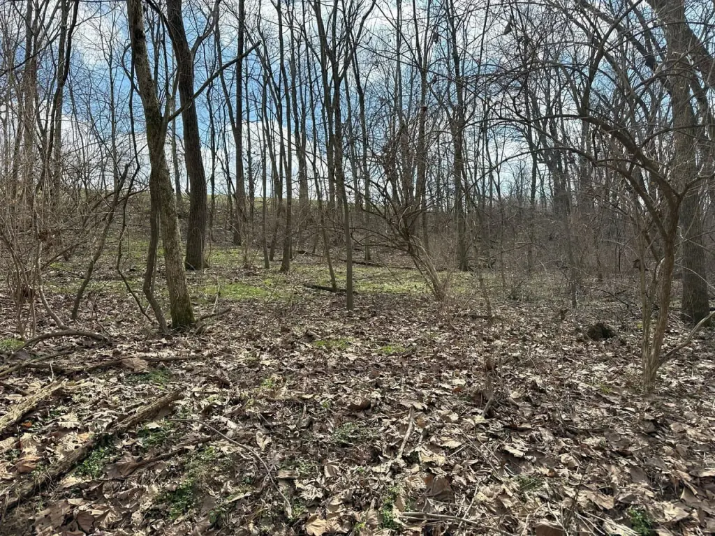 Picture 19