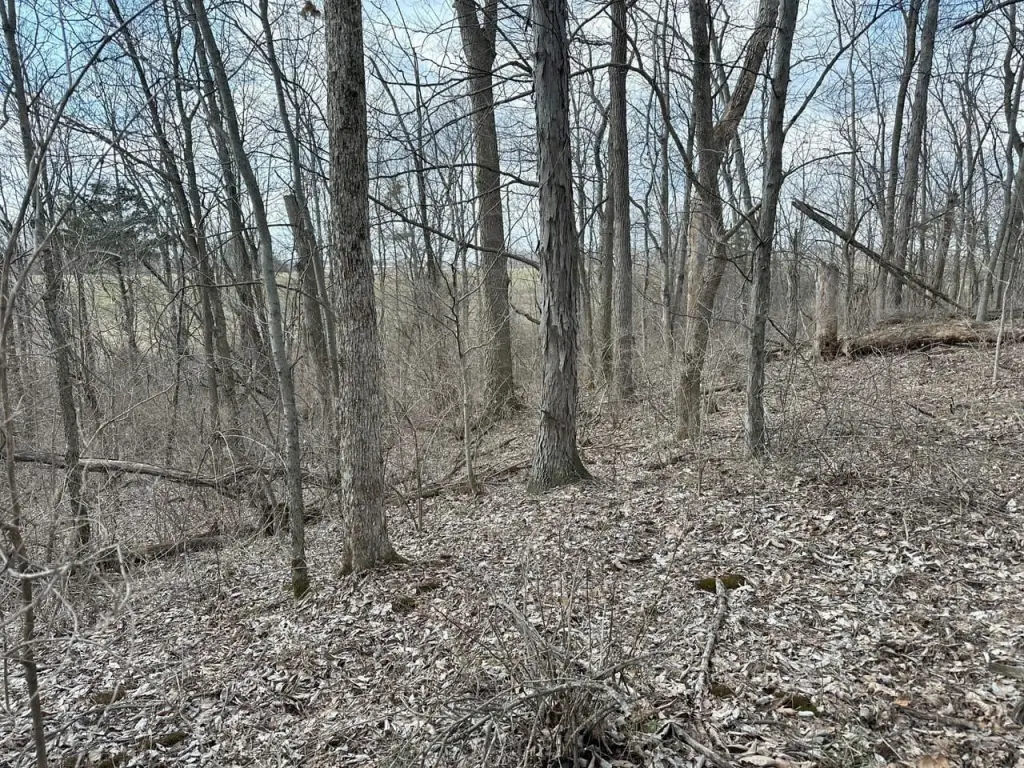 Picture 17
