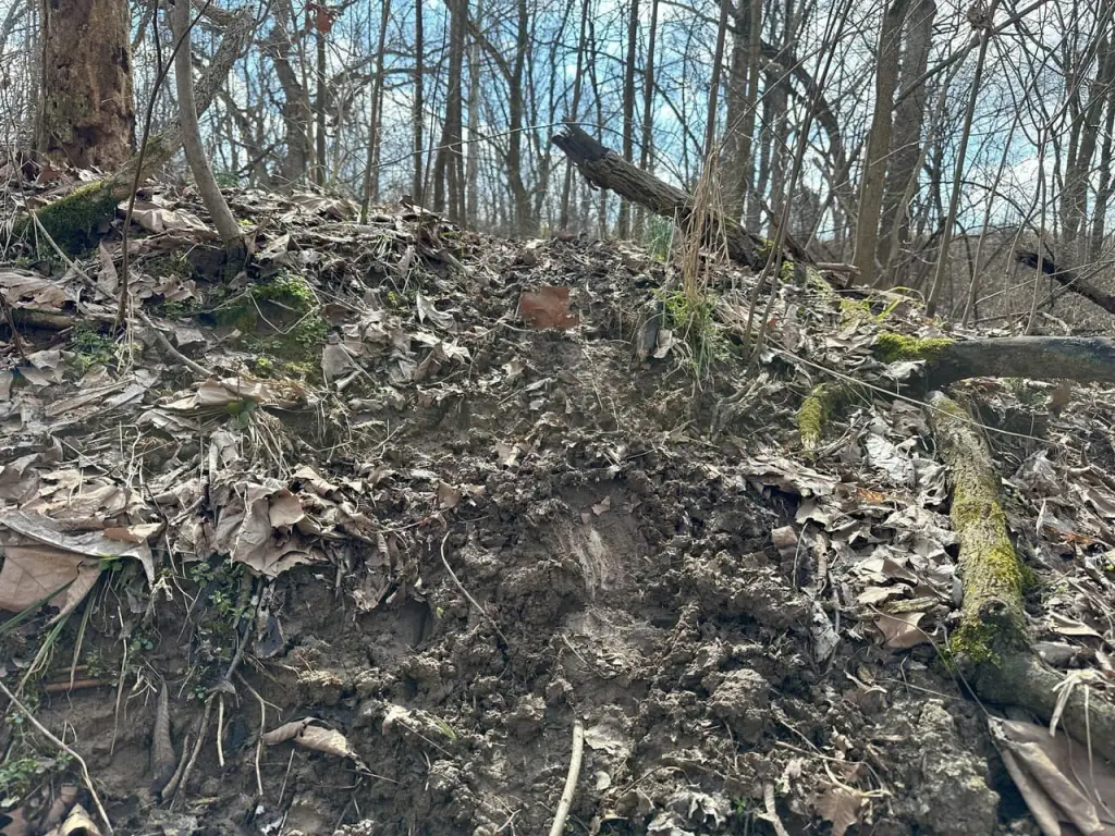 Picture 28