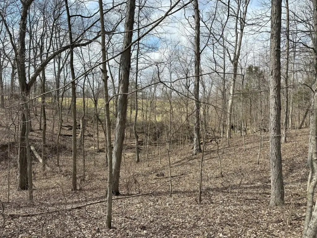 Picture 10