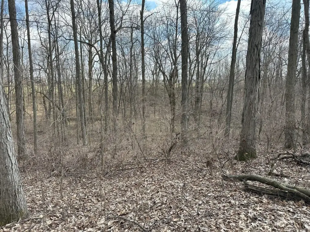 Picture 14