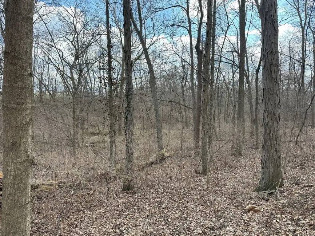 Picture 23