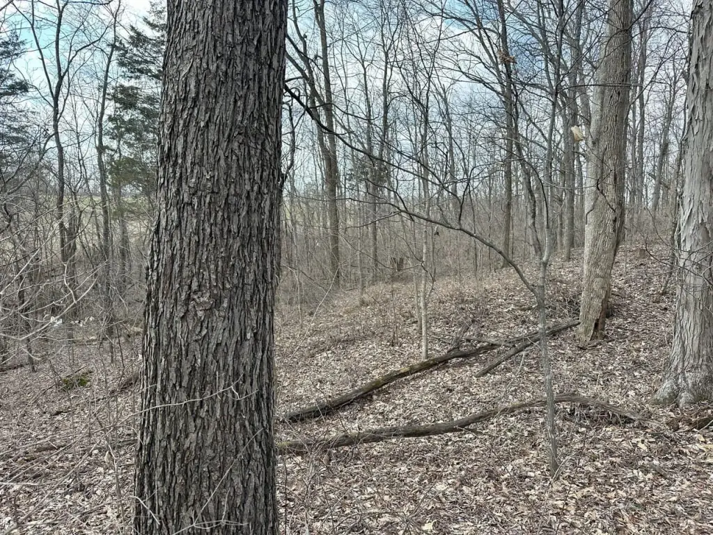 Picture 16