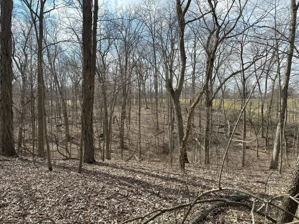 Picture 15