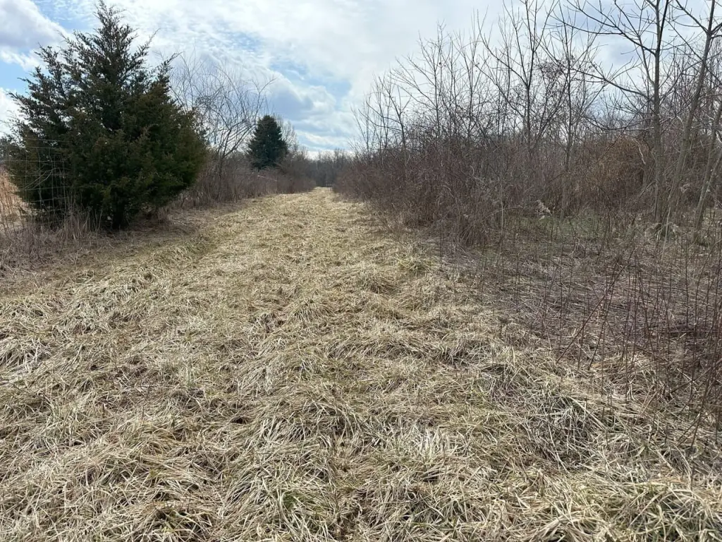 Picture 21