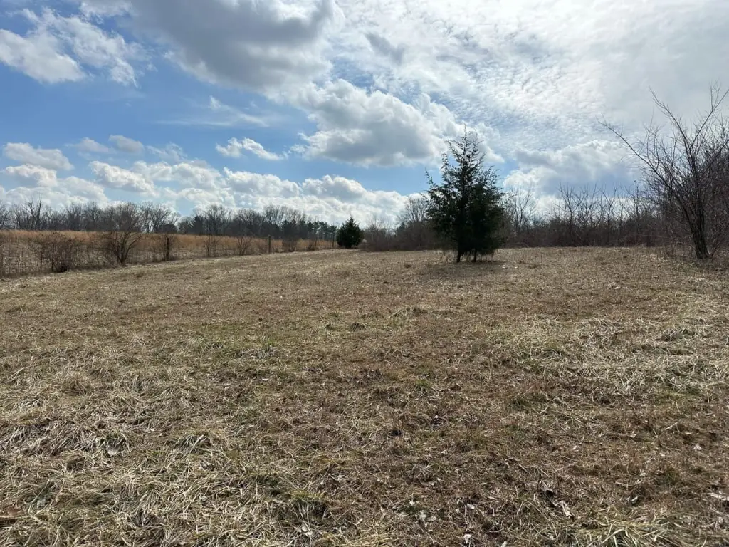 Picture 25