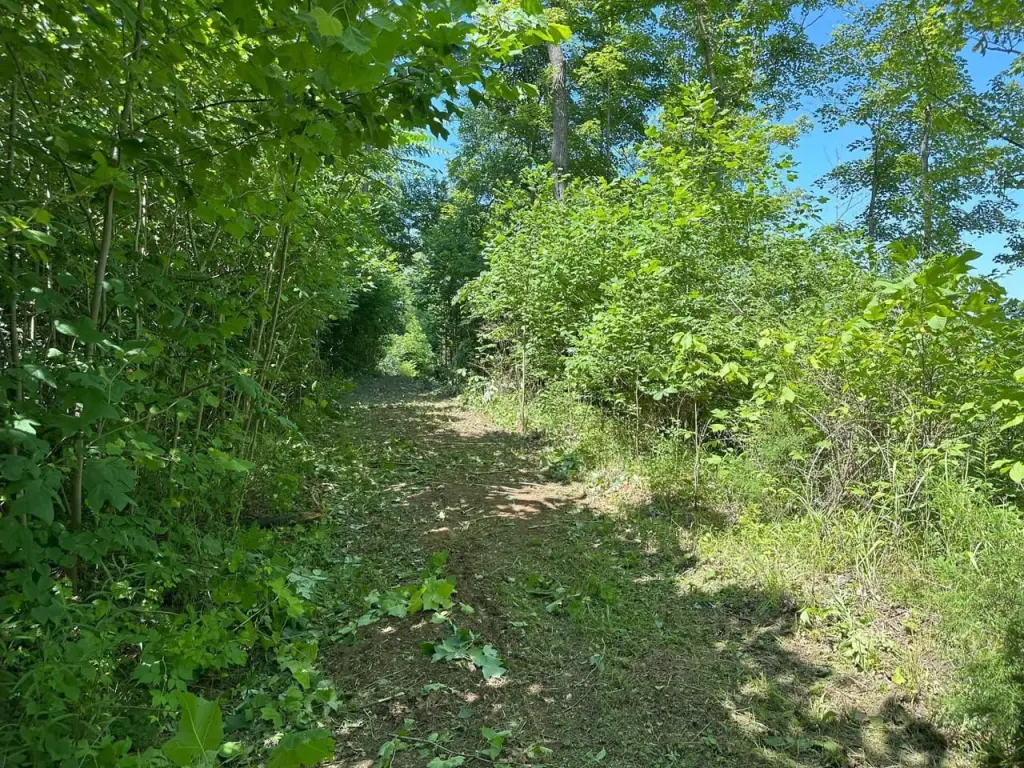 Picture 21