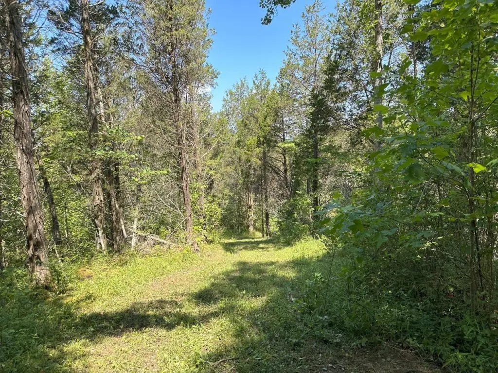 Picture 22