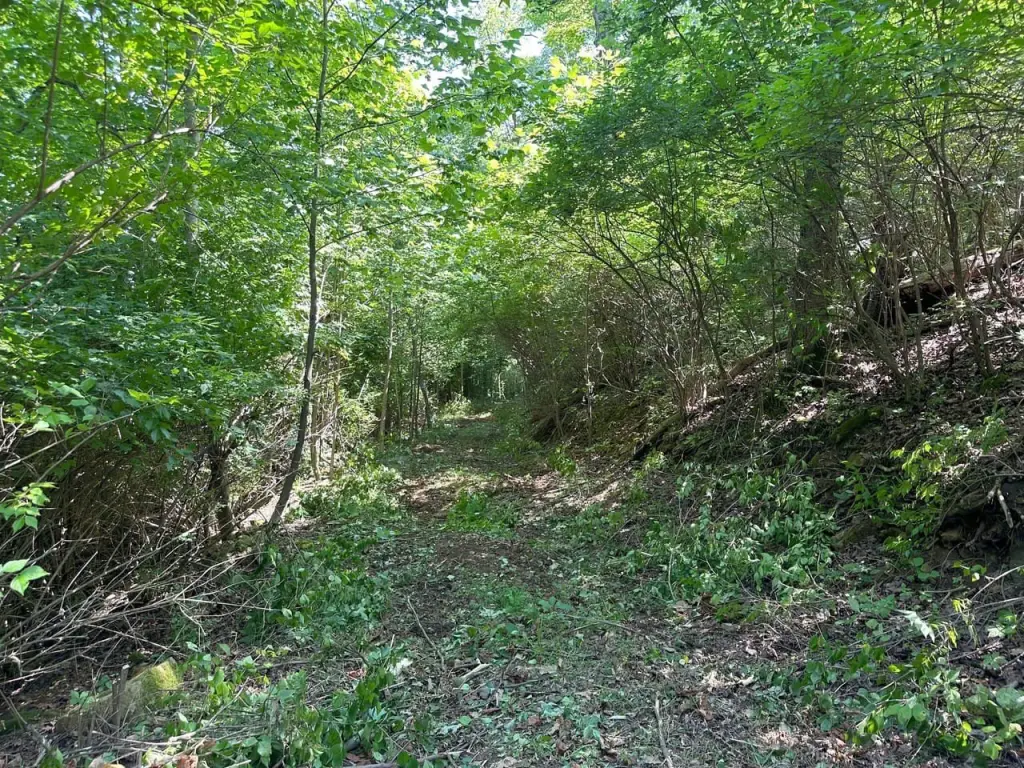 Picture 20