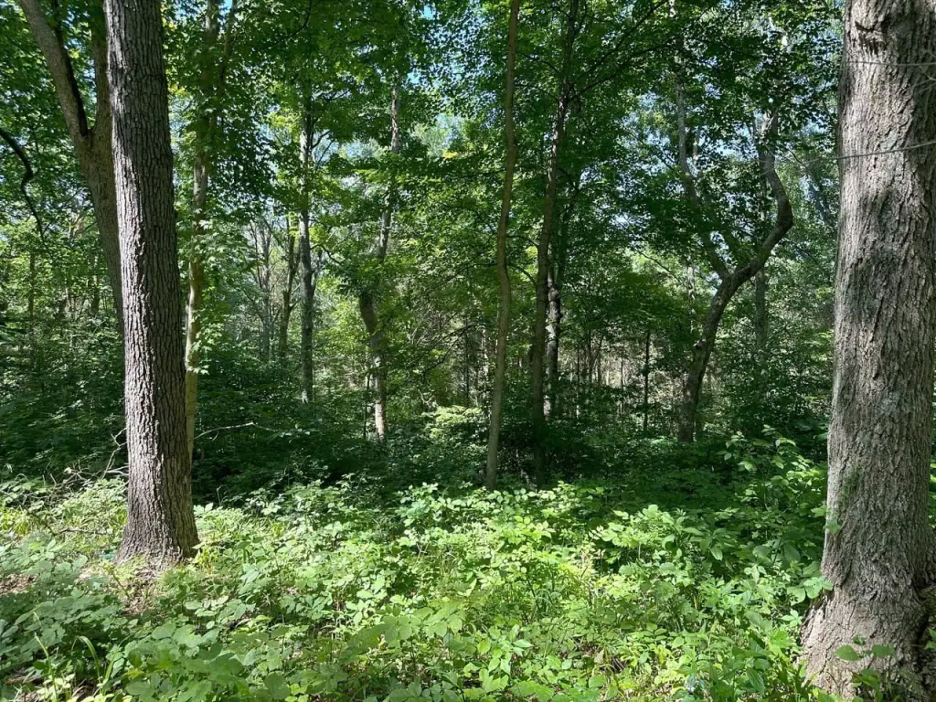 Picture 23