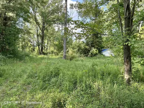 Picture of Land at Wieman Rd 4020, Beaverton, MI