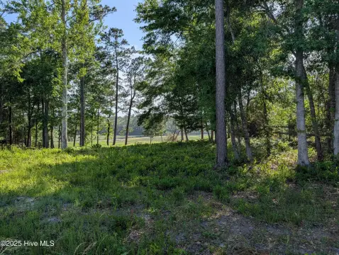 Residential Parcel in Coastal Setting